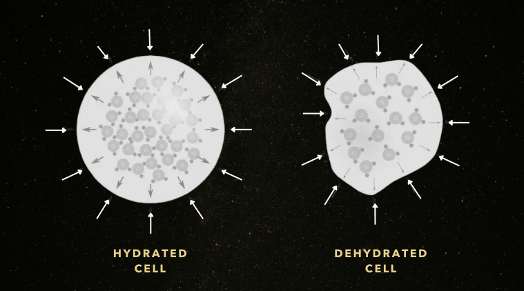 The Science of Structured Water 💧