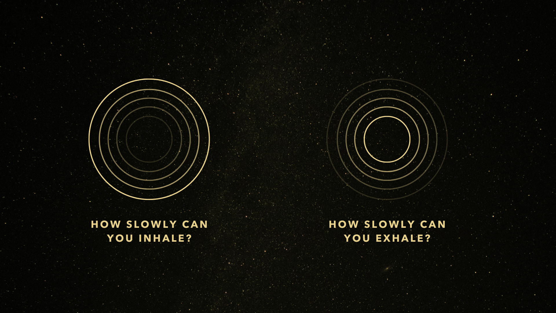 A New Perspective on Breathwork 💭