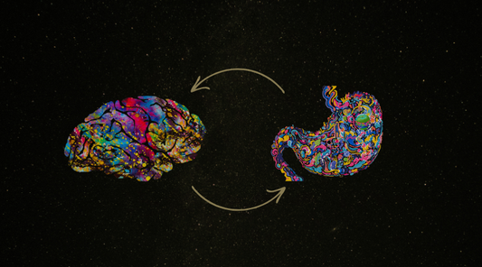 The Link Between Gut Health & Energetic Health 🌱