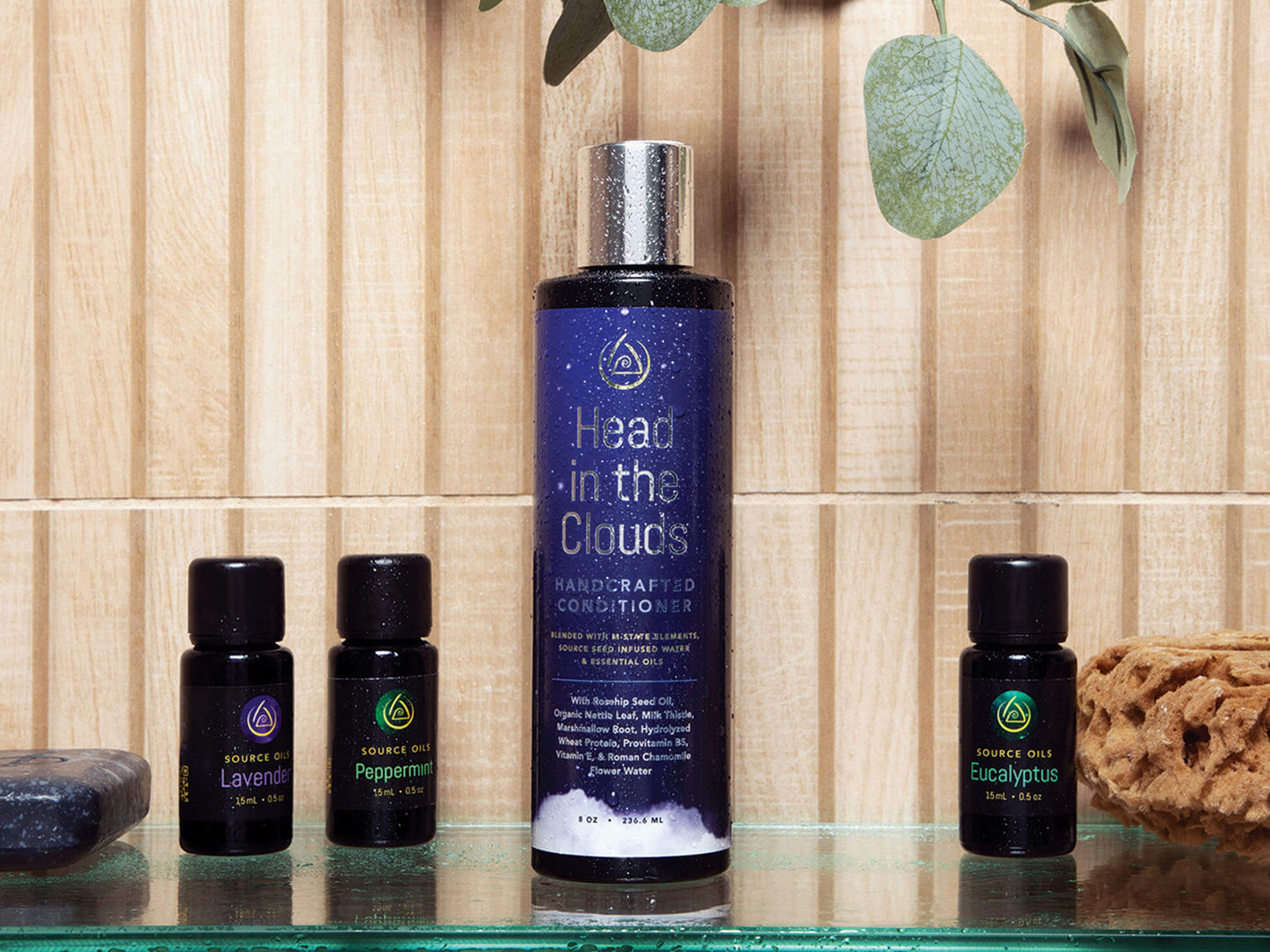 Head in the Clouds: Conditioner