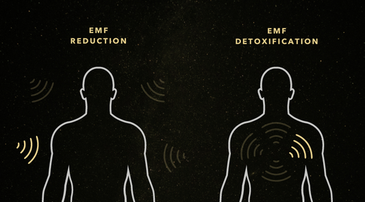EMFs: How Invisible Waves Can Impact Our Health